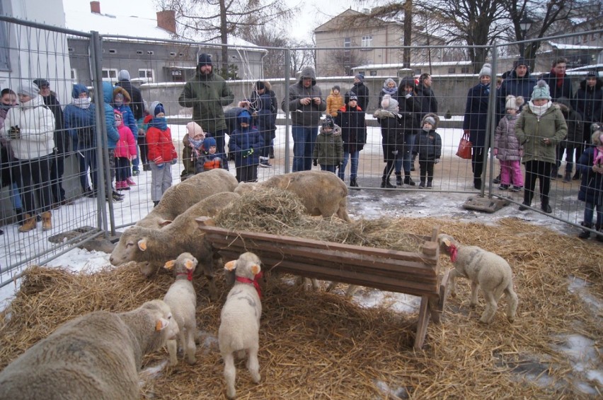 VII Orszak Trzech Króli Radomsko 2019