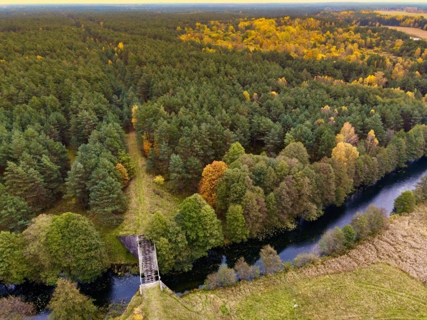 Siostry zagubione w lesie koło Bornego Sulinowa. To były chwile grozy [zdjęcia]