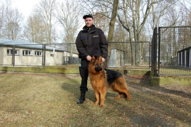 Luba i Lesko - nowe policyjne psy rozpoczęły szkolenie