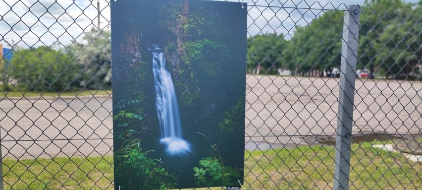 Pierwsze fotografie możemy podziwiać już m.in na ogrodzeniu...