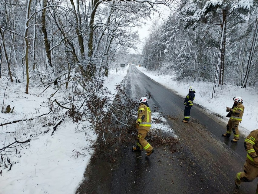 Wichura w powiecie tomaszowskim. Powalone i połamane drzewa usuwali strażacy z OSP Lubochnia i OSP Ujazd