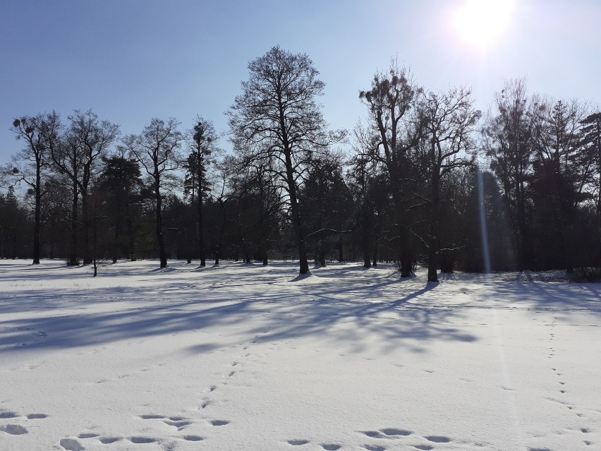 Park w Świerklańcu zimą - idealne miejsce na walentynki 2021 [ZDJĘCIA]