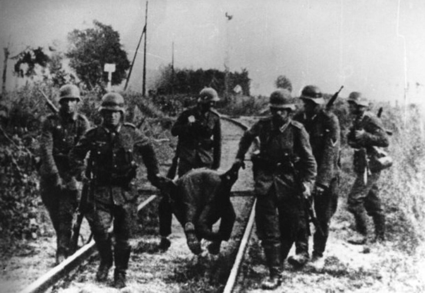 Żołnierze niemieccy wynoszą z pola bitwy na Westerplatte...