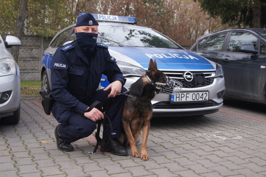 Komisarz Kolor i jego pan. Pies policyjny z KPP w Radomsku...