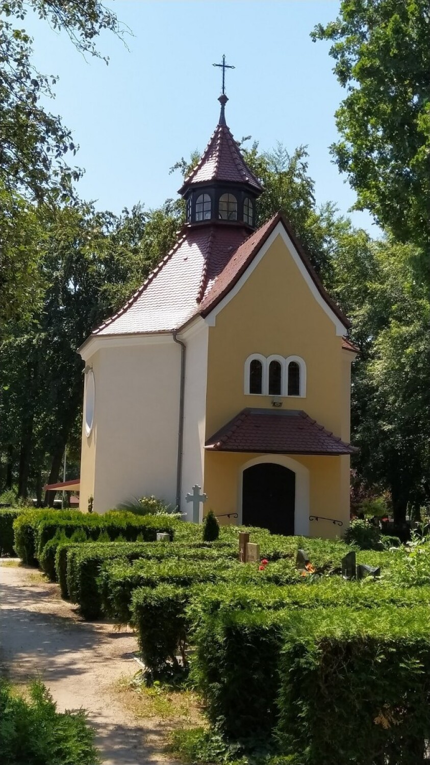 Dorodne drzewa na cmentarzu przy Kąkolewskiej w Lesznie uniemożliwiają montaż monitoringu. Zacieniona nekropolia jest miejscem spacerów 