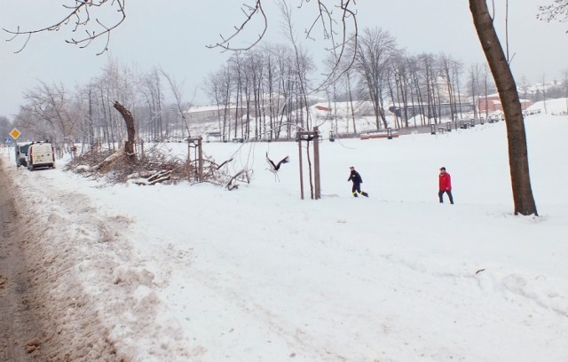 Zamojskie bociany nie chcą odlatywać na zimę…