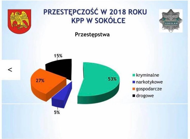 Odprawa roczna policjantów: mniej pijanych na drogach