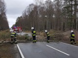 Gmina wiejska Szczecinek po wichurze, wciąż niebezpiecznie. Apel wójta [zdjęcia]