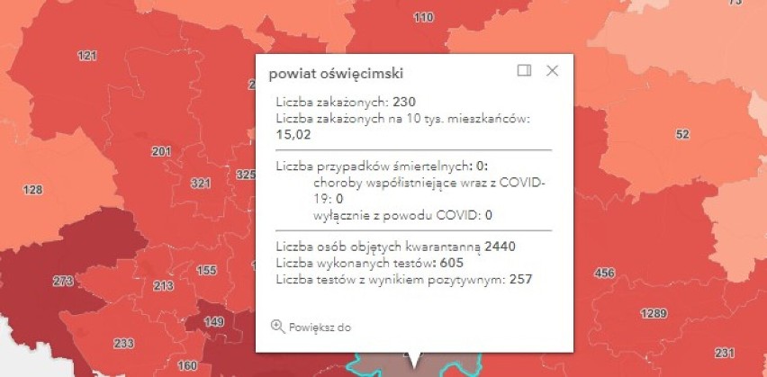 Prawie 55 tysięcy zakażeń COVID-19 w kraju. W powiatach oświęcimskim, wadowickim, chrzanowskim i olkuskim są nowe przypadki