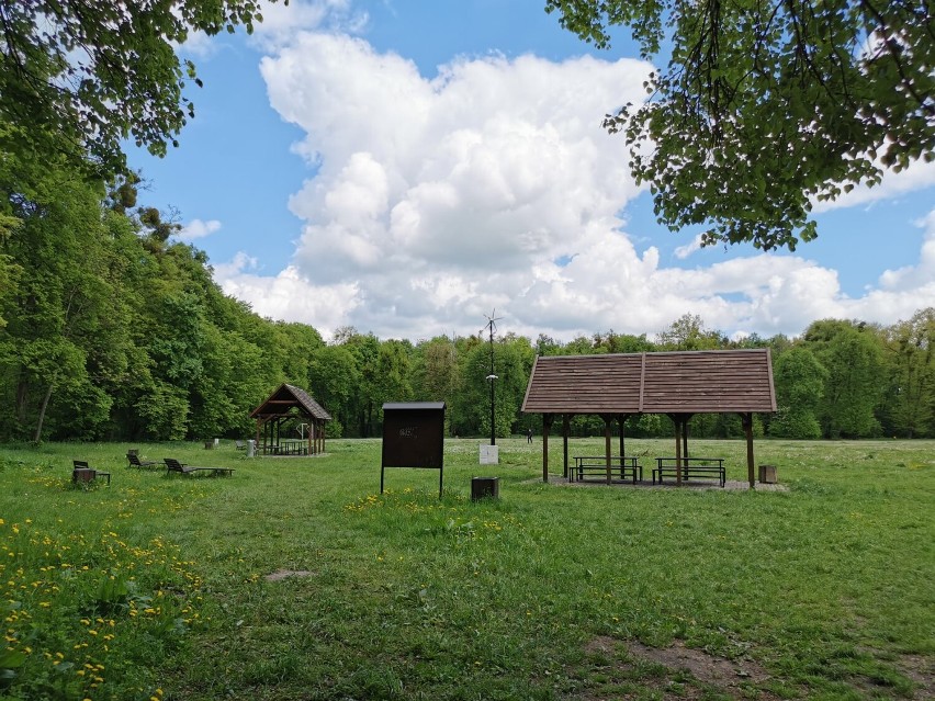 Malbork. Piknik Park już pod nadzorem strażników miejskich dzięki trzem kamerom monitoringu. Żaden wandal się już tam nie uchowa?