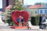Walentynkowe serce na Placu Bartosza Głowackiego w Tarnobrzegu. Idealne miejsce na zdjęcie zakochanych. Zobaczcie zdjęcia 