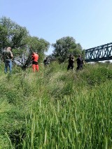AKTUALIZACJA Zwłoki znalezione 28.05 w rzece Kaczawa to zaginiona legniczanka poszukiwana od kilku dni