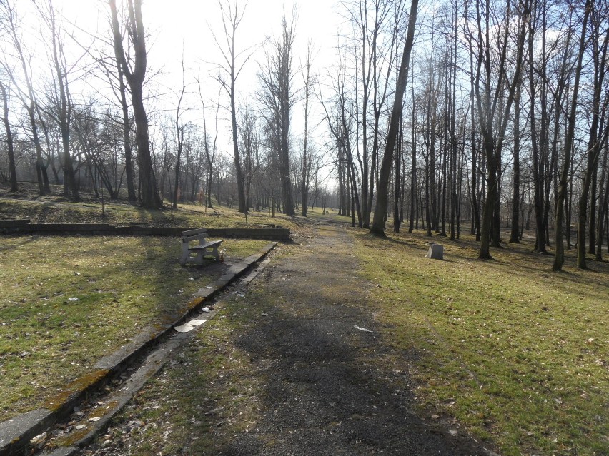 Park Środula będzie parkiem Ryszarda Twardocha? Chce tego Rada Dzielnicy [ZDJĘCIA]