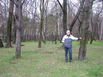 Wojciech Żątowski zamierza bronić drzew przeznaczonych do wycięcia w wojkowickim parku