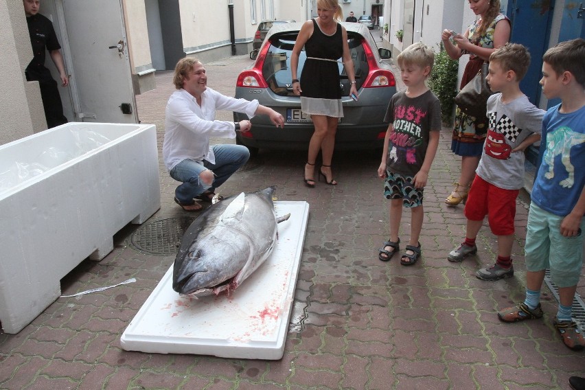 150-kilogramowy tuńczyk w Łodzi