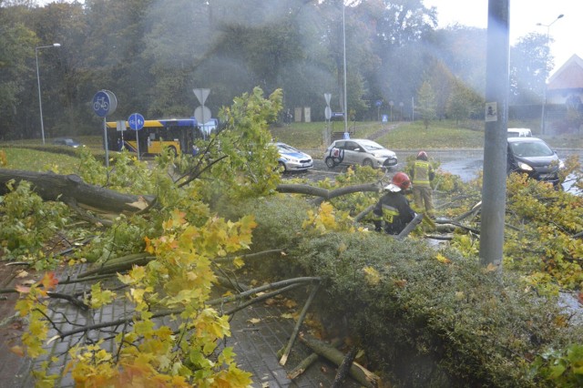 To efekt wichury nad Głogowem