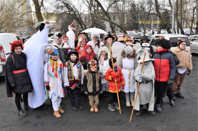 Kujawskie tradycje kultywuje Koza Kłopocka. Spotkaliśmy ją na inowrocławskiej Giełdzie-Bazarze