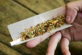 Szesnastolatek z Piątku odpowie za posiadanie marihuany 