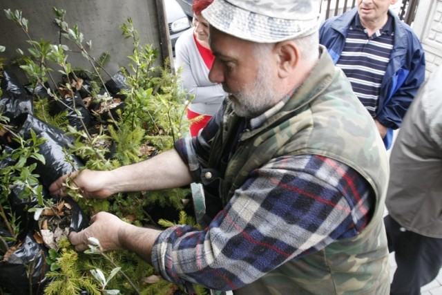 Drzewko za makulaturę 2016 w Pucku