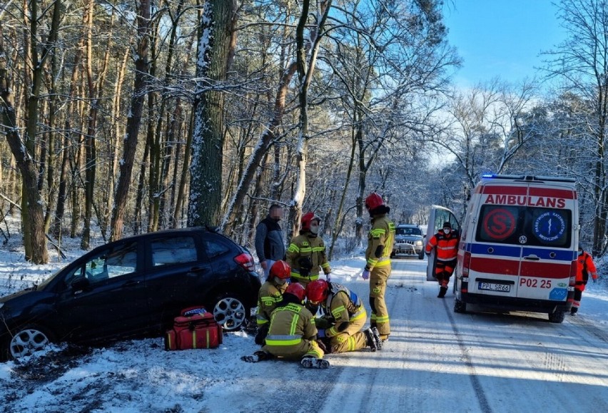 W sobotę w Brzeziu samochód uderzył w przydrożne drzewo