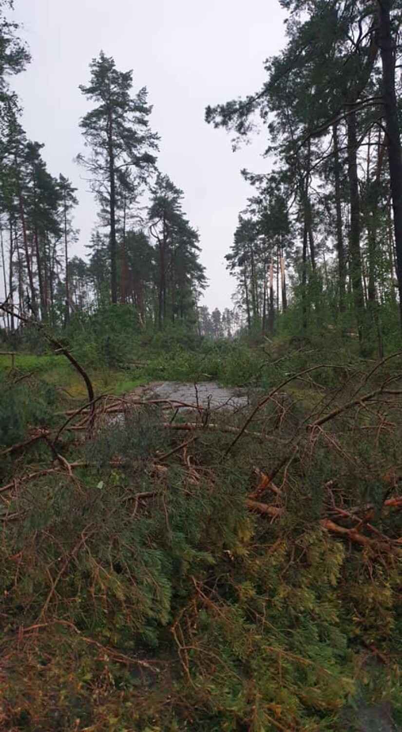 Strażacy z Bartoszegolasu w gm. Stara Kiszewa ewakuowali obóz harcerski podczas burzy [1.07.2022 r.] [GALERIA]