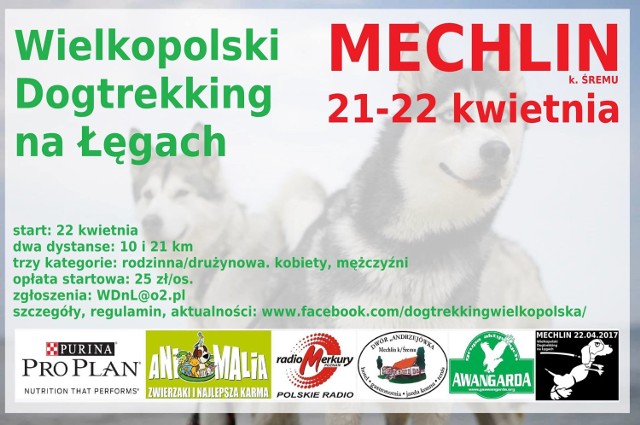 Śrem: dogtrekking na łęgach już w kwietniu [ZAPROSZENIE]