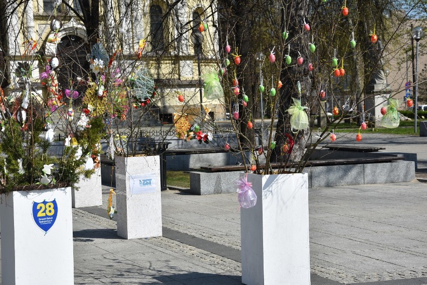 Częstochowa. Na placu Biegańskiego zakwitł ogród wielkanocny ZDJĘCIA