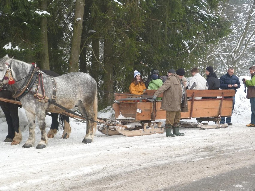 Ferie 2013: Zabawa na kuligu w Istebnej ZDJĘCIA