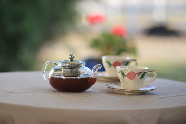 Fusy pozostałe po parzeniu herbaty można wykorzystać do nawożenia roślin. Jednak trzeba przestrzegać pewnych zasad.