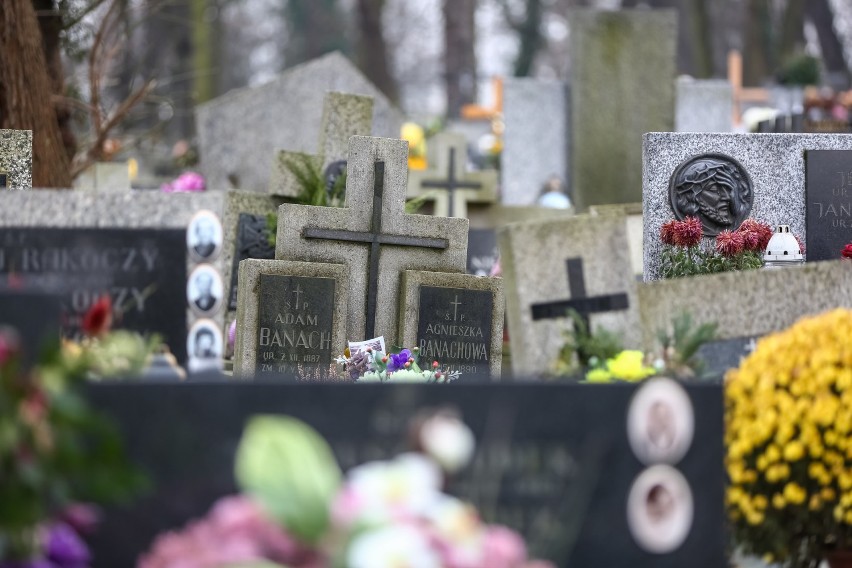 Przepełnione cmentarze w Krakowie. Nie będzie gdzie chować zmarłych?