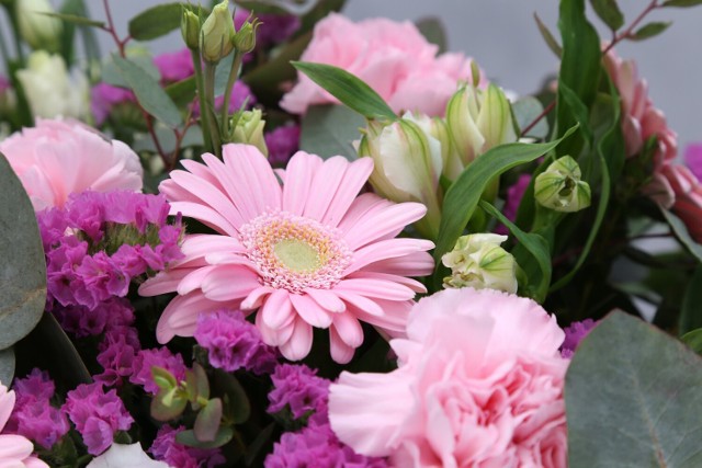 Nazwa: Grochowskich Pracownia Florystyczna - Kwiaciarnia
Adres: Zamkowa 5

Średnia ocena: 4,0
Liczba ocen: 73