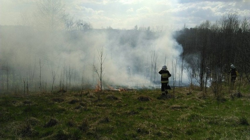 Powiat wadowicki. Pijany został poparzony, gdy gasił pożar trawy