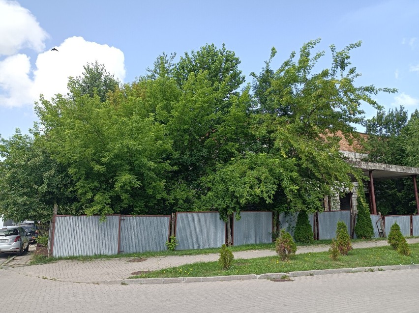 Szpital Psychiatryczny w Suwałkach. Władze województwa odkupiły zaniedbaną nieruchomość [Zdjęcia]