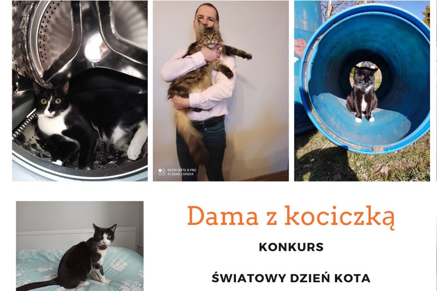 Tczew. Dama z kociczką – konkurs fotograficzny ONLINE z okazji Światowego Dnia Kota
