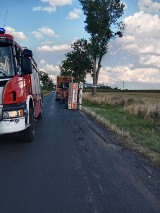 Na drodze pomiędzy Łosiowem a Janowem przewróciła się przyczepa ciężarówki z drewnem [ZDJĘCIA]