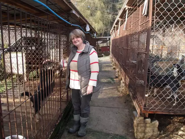 Celina Pawluśkiewicz dba o psy pozostające w prowadzonym przez nią schronisku dla zwierząt