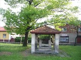 Szlaki rowerowe w Jaworznie [ZDJĘCIA]. Z Jelenia nad Sosinę, ok. 20 km