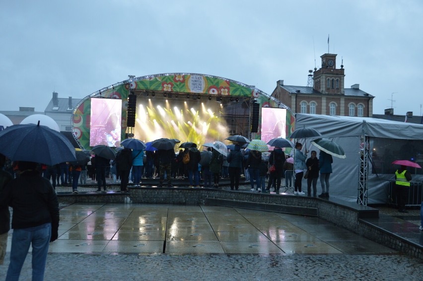 Skierniewice. Koncert Baranovskiego w strugach deszczu. Widzowie pod parasolami