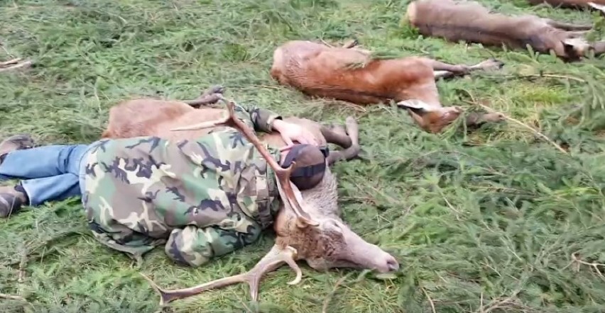 Obrońcy zwierząt na Hubertusie Spalskim. Interweniowała policja