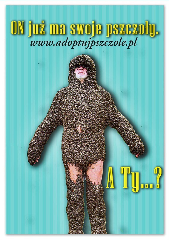 Adoptuj Pszczołę za 2 zł - crowdfunding Greenpeace jeszcze...