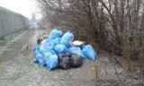 Straż miejska we Wrześni: Zebrano 40 worków śmieci! [ZDJĘCIA]