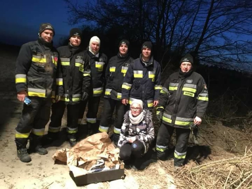 Strażacy z OSP Kowalew uratowali psią mamę i jej szczeniaki. Teraz cała piątka szuka domów