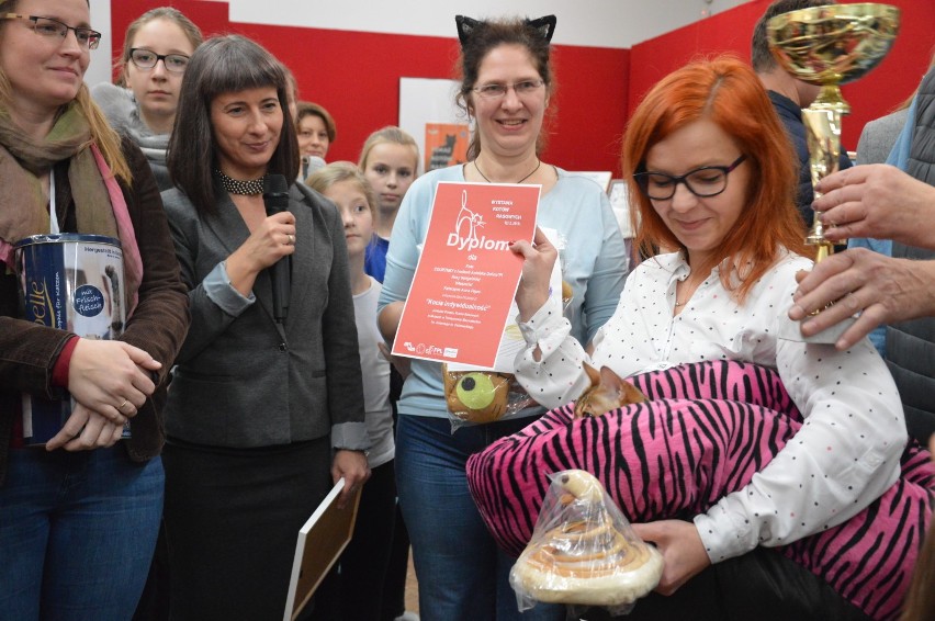 Wystawa kotów w muzeum w Tomaszowie Mazowieckim. Wybrano Kocią Indywidualność [ZDJĘCIA]