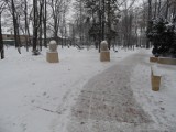 Żory park przy ul. Rybnickiej: koniec przebudowy wejścia do parku. Wróciły lwy i jest śliski deptak