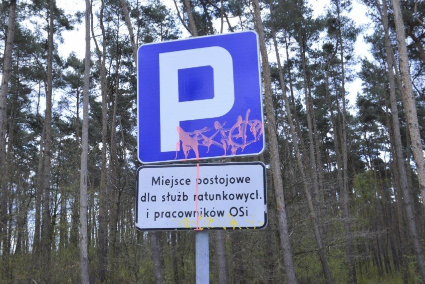 NOWY DĘBIEC. Letnisko przygotowuje się na rozpoczęcie sezonu. Jakich nowości można spodziewać się w tym roku w Nowym Dębcu? [ZDJĘCIA]  