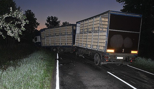 Wypadek w Wylewie. Zginął kierowca [zdjęcia]