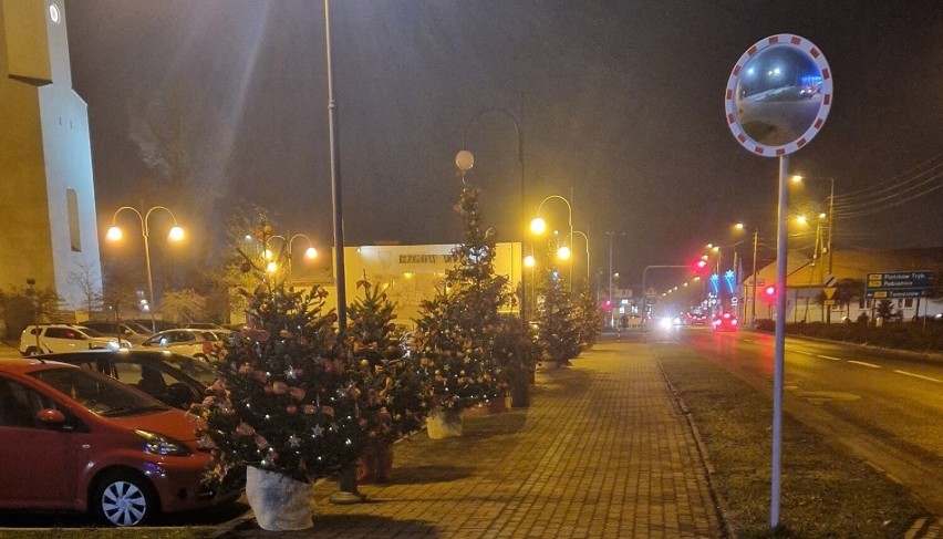 Choinki, gigantyczne bombki, iluminacja zdobią miejski park i jego otoczenie 