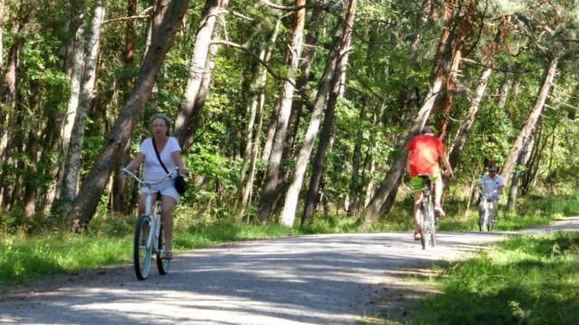 Krynica Morska. Kolejny etap budowy ścieżki rowerowej, która połączy cały polski odcinek Mierzei Wiślanej został potwierdzony. Wartość projektu to blisko 11 mln zł.