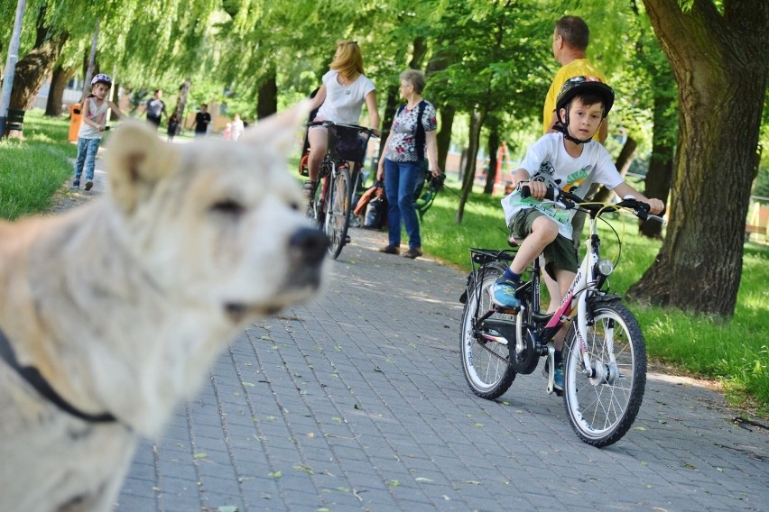 I Sieradzki Rajd Rowerowy Przedszkolaków (zdjęcia)