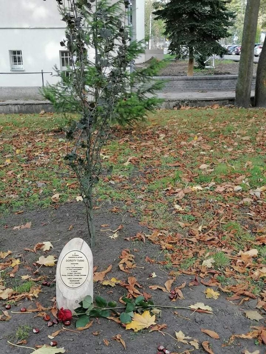 Pamiątkowy buk dla zmarłej w zeszłym roku Doroty Tarki, nauczycielki I LO w Lesznie 